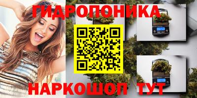 стафф Обь