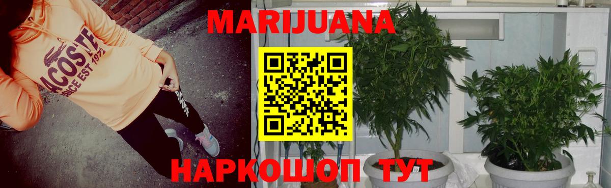 Бошки марихуана OG Kush Тайшет